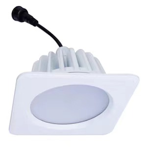Downlight Side View