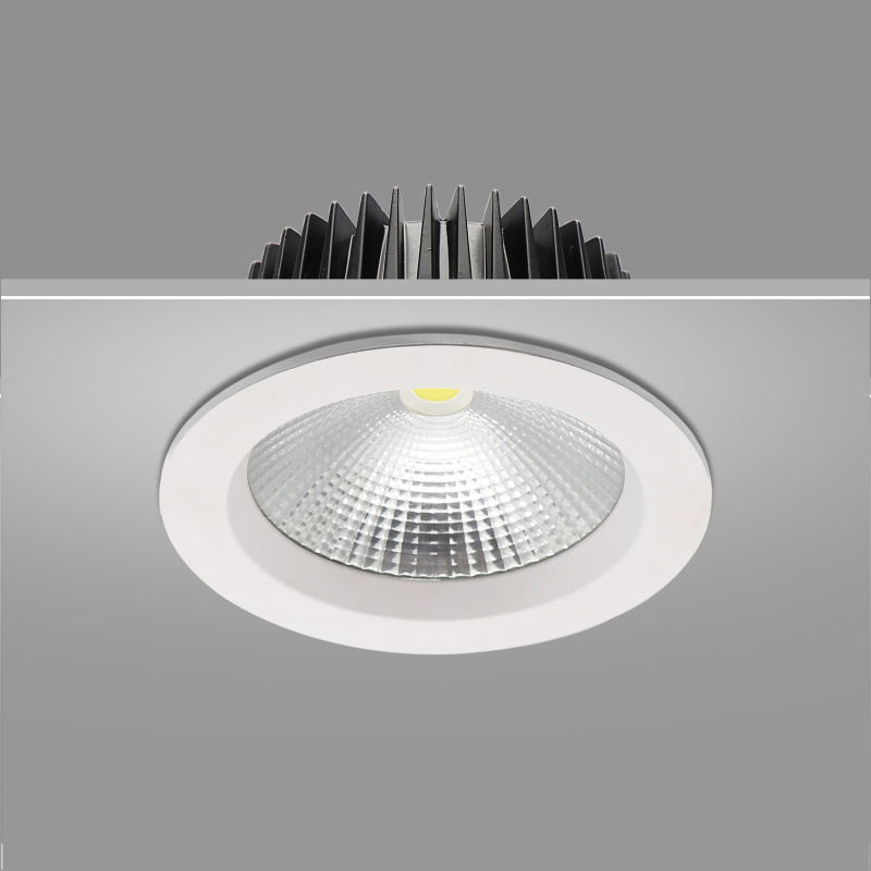 Downlight Bottom View