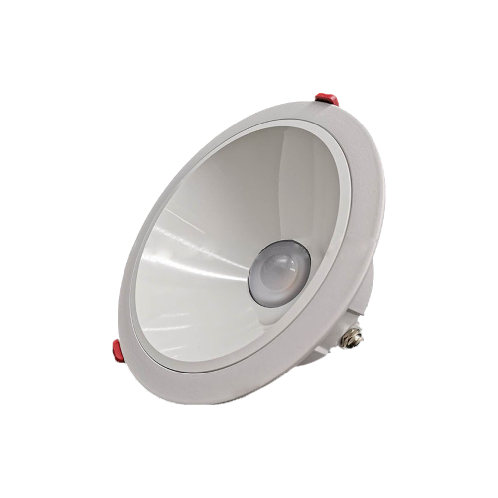 Downlight Bottom View