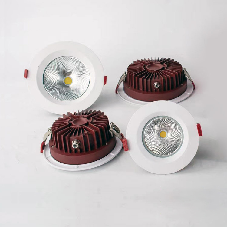 Downlight Bottom View